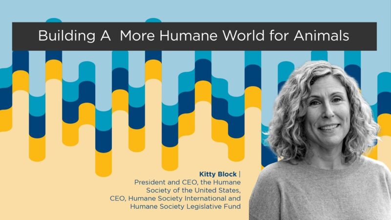 Kitty Block with Humane Society of the United States