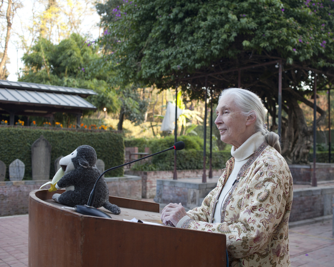 Dr Jane Goodall speaks at a podium